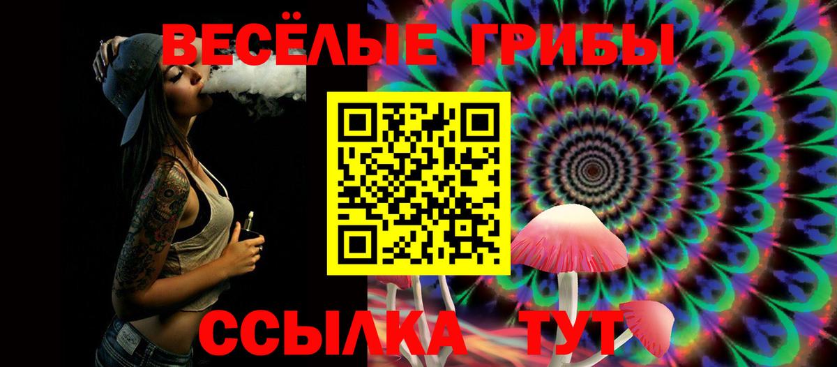 Новозыбков  Псилоцибиновые грибы Psilocybine cubensis  Псилоцибиновые грибы Psilocybine cubensis  что такое   Вход с VPN 
