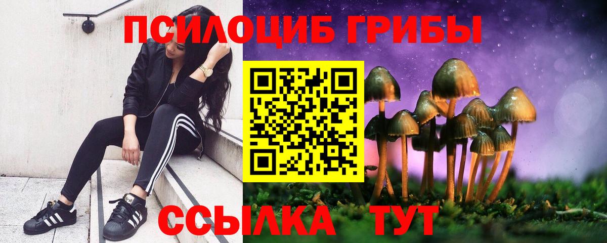Галлюциногенные грибы прущие грибы Новозыбков
